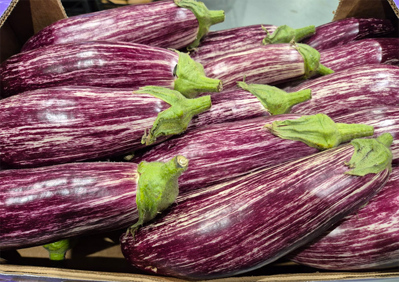 Melanzana striata - Sicilia - 1,80/2,00 euro al chilogrammo